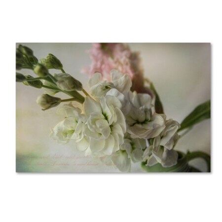 Trademark Fine Art Bob Rouse 'White Spring' Canvas Art, 16x24 ALI16163-C1624GG